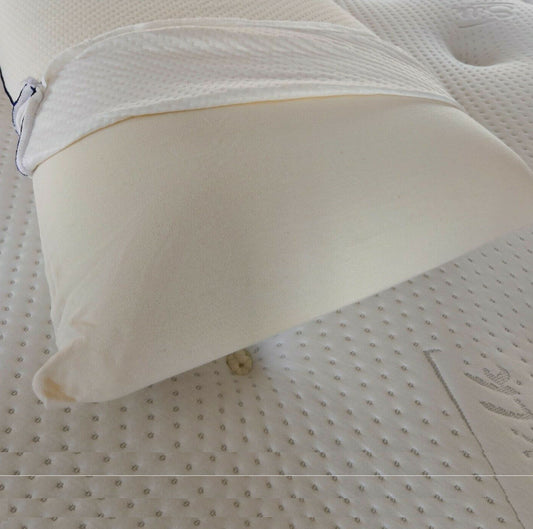 Memory Foam Pillow with Free White Case