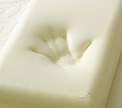 Memory Foam Pillow with Free White Case